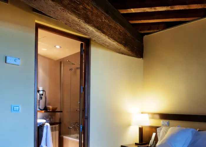 酒店 阿瓦德托莱多酒店 3*